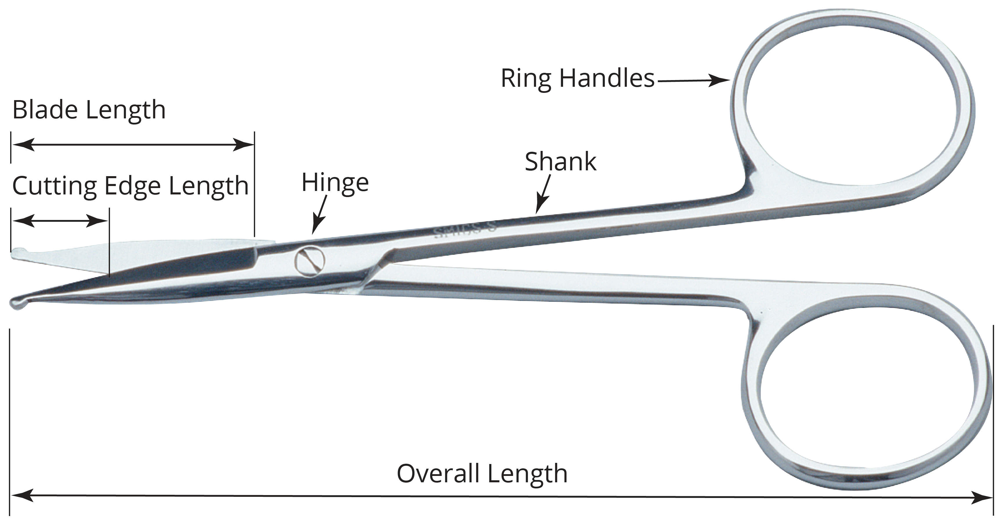 anatomy-scissors-01.png